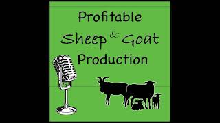 Episode 24  Getting Started with Sheep amp Goats Things to Consider [upl. by Oznecniv]