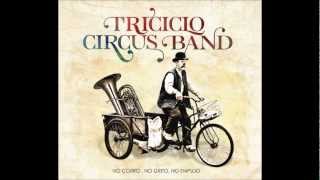 ExcusezMoi  Triciclo Circus Band [upl. by Esyla]