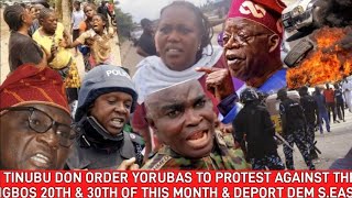 TINUBU DON ORDER YORUBAS TO PROTEST AGAINST THE IGBOS 20TH amp 30TH OF THIS MONTH amp DEPORT DEM SEAST [upl. by Gurtner]