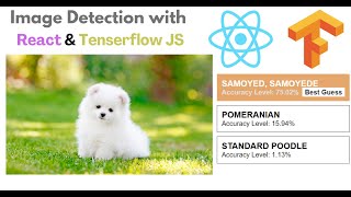 Image Detection using Tensorflow JS in React [upl. by Anrev189]