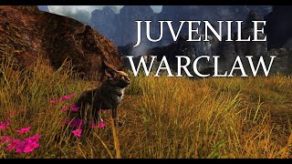 GW2 Janthir Wilds  Juvenile Warclaw Location  Lowland Shore [upl. by Nnaer]