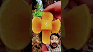 Nice fal fruit naturallifeb satisfying naturalclips fruitcutting naturelife jackfruit food [upl. by Eichman]