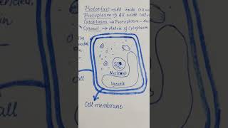 Protoplasm  Cytoplasm  Cytosol  Protoplast [upl. by Nylarac]