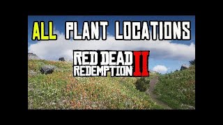 RED DEAD REDEMPTION 2 RDR2  finding all 43 herbs in one easy route 13 spots [upl. by Warden713]