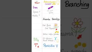 Actinomyces israeli  Anaerobic branching Grampositive Rod Bacteria  Microbiology 🧫 science [upl. by Naitsirc]