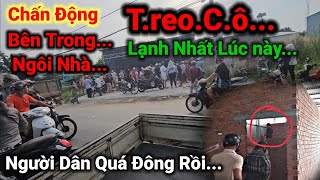 Ngôi nhà lạnh nhất lúc này [upl. by Nilla671]