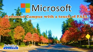 Driving Tour Microsoft Campus with a touch of Fall  Redmond WA  Relaxing Drives [upl. by Domela]