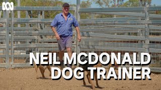 Worldclass dog trainer Neil McDonald  Muster Dogs [upl. by Laura]