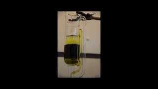 Soxhlet Extraction of Algae Oil [upl. by Amoeji]