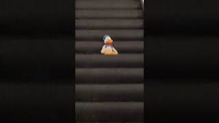 Donald Duck is descending peacefully [upl. by Ahsilrac]