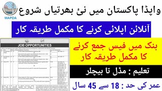 Wapda New Jobs 2024  Complete Process of Online Applying to Wapda amp Fee Submit Process Online 2024 [upl. by Hanikas]