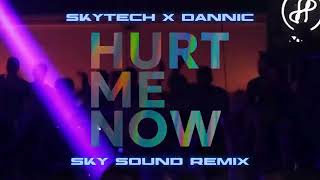 Skytech amp Dannic  Hurt Me Now SKY SOUND Remix [upl. by Akimit]