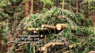 Dokumentation Hackschnitzelproduktion  vom Wald bis ins Heizkraftwerk [upl. by Fredie195]