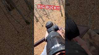 BIG BUCK DOWN🦌 hunting minnesota fyp youtube deer hunting viral opener deer bigbuck [upl. by Enehs]