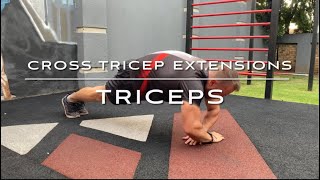 Cross Tricep Extensions [upl. by Llehsyt]