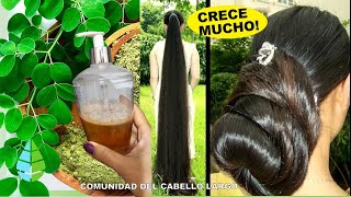 🌱CRECE TU CABELLO LARGO Y GRUESO CON UN CHAMPÚ MÁGICO solo 2 ingredientes [upl. by Kerat]