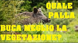 Quale calibro e proiettile passano meglio attraverso la vegetazione Due Test ci dimostrano quali [upl. by Alix]