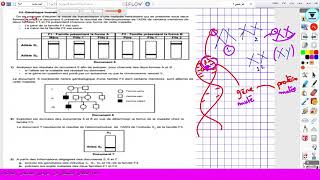 Génétique humaine bac sciences bac math  افتتاح عرض الحصص المباشرة للثلاثي الثاني ❤️ [upl. by Ylrebme]