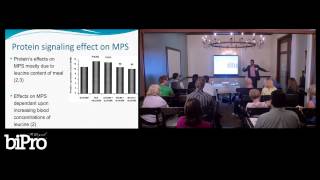 The Importance of Amino Acid Leucine Part 1 [upl. by Hudis873]