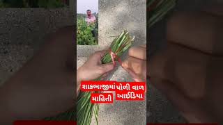 શાકભાજી માં ઉપયોગ આવે એવું કામ agriculture smart work gujaratifarmer 👍🌾🌿🌱👌🚜🐂🐃 [upl. by Medin167]