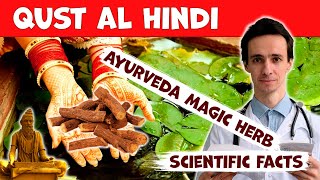 Qust Al Hindi Costus unique Indian herb What does the science say How to use Contraindications [upl. by Neellok]