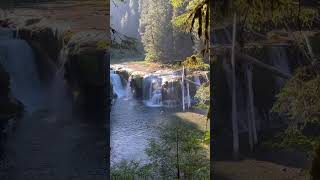 another magnificent waterfall along the Lewis River in the Gifford Pinchot National Forest USA [upl. by Edina937]