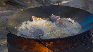 Mojarras Fritas al DISCO  Pesca y Cocina [upl. by Gavan]