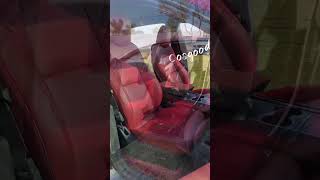 custom car seat cover for Tesla customtesla carsafety cosgoodtestimony [upl. by Adnilem]