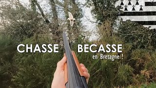 Chasse de la Bécasse en Bretagne  Une scène hors du commun [upl. by Aihk]