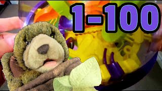 Giant Number Maze Count to 100 with Tree Bear and the Perplexus [upl. by Eimat118]