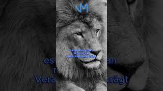 Die größte Lüge successmindset motivation millionairesecrets moneymindset lion mindsetshift [upl. by Eniluj928]