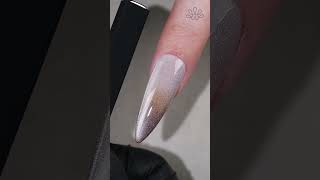 Fall Ombre Cat Eye Nails BORN PRETTY [upl. by Gratianna]