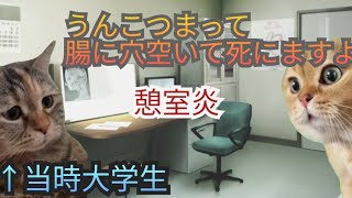 【猫ミーム】大学時代にうんこが詰まって腸に穴が開きかけた話。医療費数十万 [upl. by Anoid]