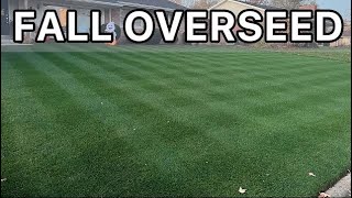 How to Overseed Your Lawn  Step by Step [upl. by Luht]