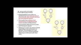 Polyploidy [upl. by Innig]