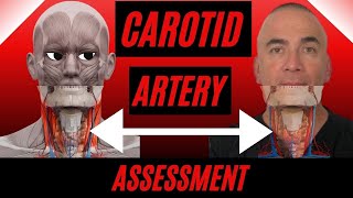 Carotid Pulse Assessment for Nurses  How to assess and where are the Carotid Arteries [upl. by Ayokahs]