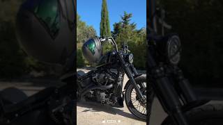 HarleyDavidson SOFTAIL STANDARD Custom [upl. by Agostino590]