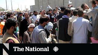 Canada stops accepting applicants for special Afghan immigration program [upl. by Tihom]