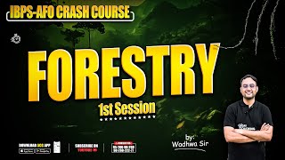 Forestry1  ibpsafo  ibpsso  Crash Course  Bilingual [upl. by Ahsym298]