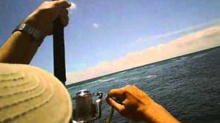 Getting Spooled By Monster Kingfish [upl. by Puglia]