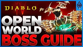 OPEN WORLD BOSS Guide Diablo 4  Weltbosse erklärt  ALLE Infos zu Knorzer Ashava amp Wandelnder Tod [upl. by Yespmed]