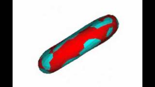 Simulation of Red Blood Cell Motion Tumbling Motion in Shear Flow [upl. by Noeled]