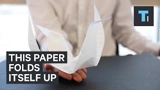 This intelligent paper can fold itself into origami cranes [upl. by Annai561]