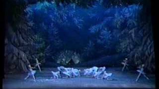 Waltz of the Snowflakes from The Nutcracker Mariinsky [upl. by Skilken]