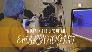 A Day in the Life of an Embryologist [upl. by Torin499]