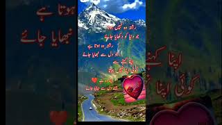 urdu shayari black screen statusurdu shayari black screen status [upl. by Esinwahs588]