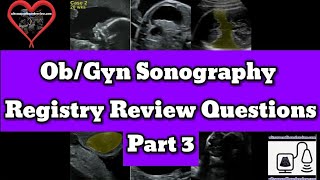 ObGyn Sonography Registry Review [upl. by Swarts159]