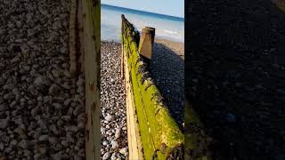 quotlongshore driftquot barrier example near Cromer pier Norfolk UK wild nature countryside outdoors [upl. by Odraude]