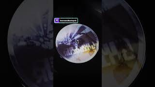 Shadow Of Memories drumandbass edm music twitch dj vinyl viral [upl. by Anair64]