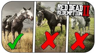 How to get the MISSOURI FOX TROTTER FASTEST Horse In RED DEAD REDEMPTION 2 [upl. by Al]